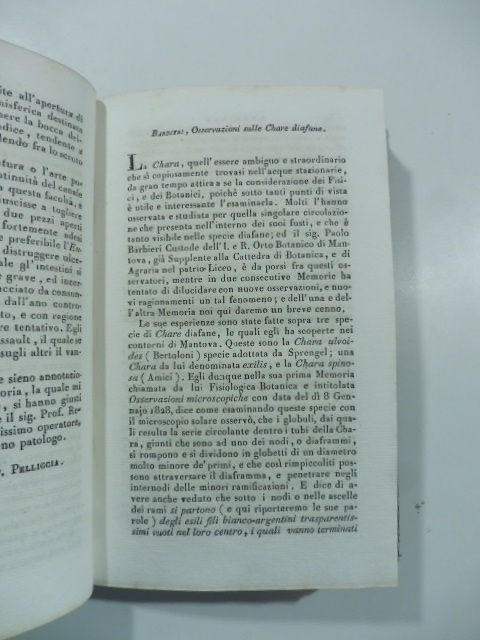 Barbieri, osservazioni sulle Chare diafane. (Stralcio da: Nuovo giornale de' letterati. N. 61. 1832)